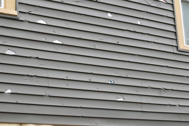 Best Fascia and Soffit Installation  in North Browning, MT